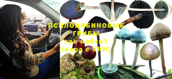 марки nbome Заводоуковск