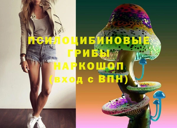 марки nbome Заводоуковск