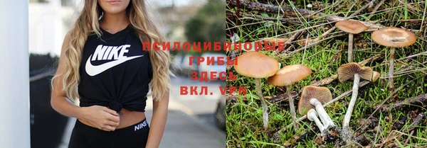 гашиш Заволжск