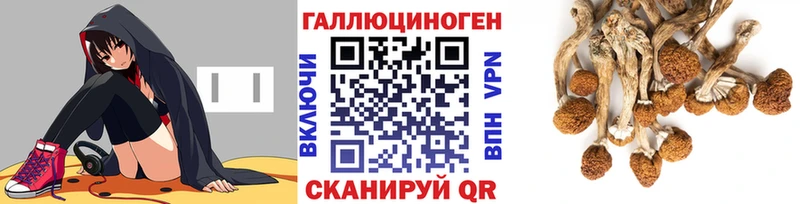 Галлюциногенные грибы GOLDEN TEACHER  Купить где  Опочка 