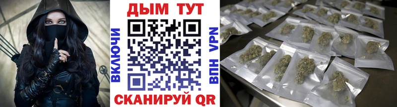 Купить где  Опочка  Каннабис SATIVA & INDICA 
